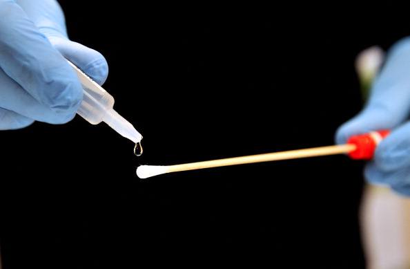 A forensic researcher prepares a small stick to test DNA A forensic researcher prepares a small stick to test DNA