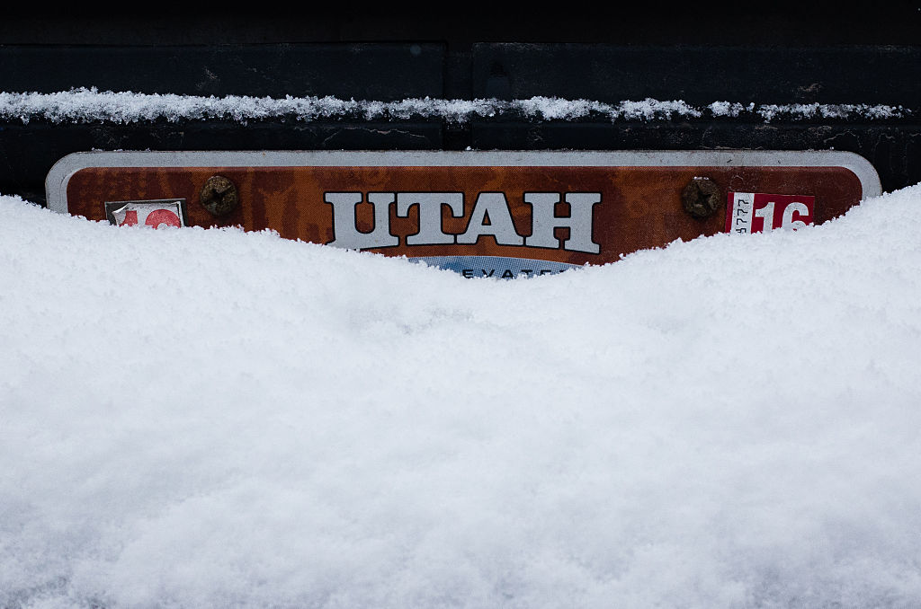 snow-covered license plate