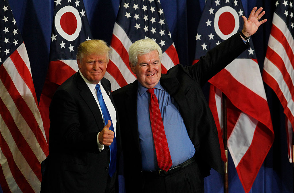 newt gingrich and donald trump at a rally in front of american flags
