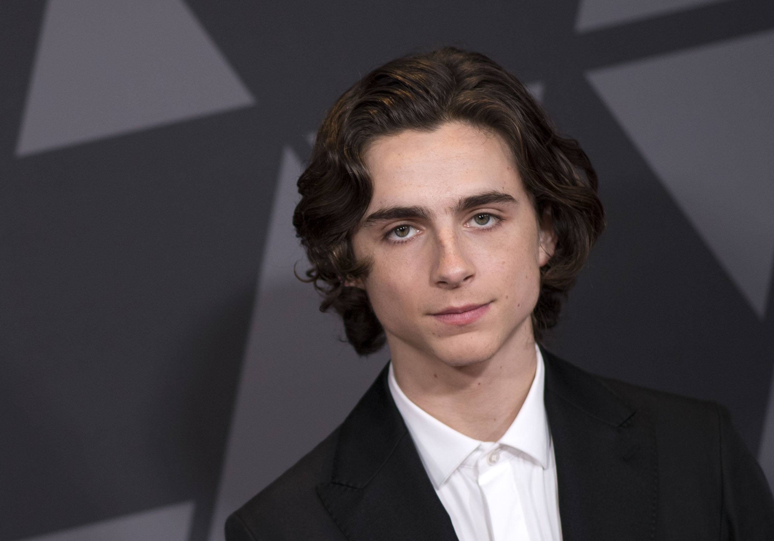 Timothee Chalamet attends the 2017 Governors Awards
