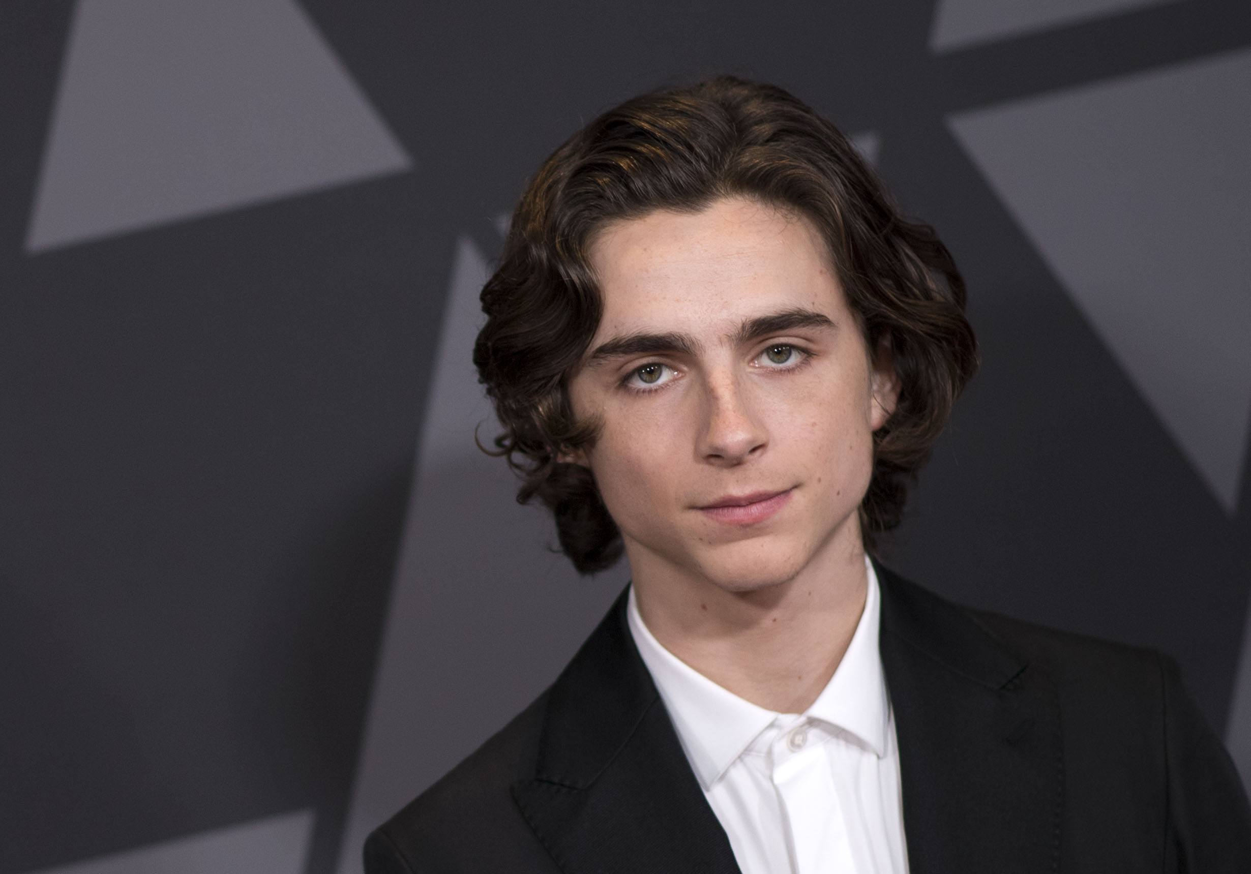 Timothée Chalamet attends the 2017 Governors Awards