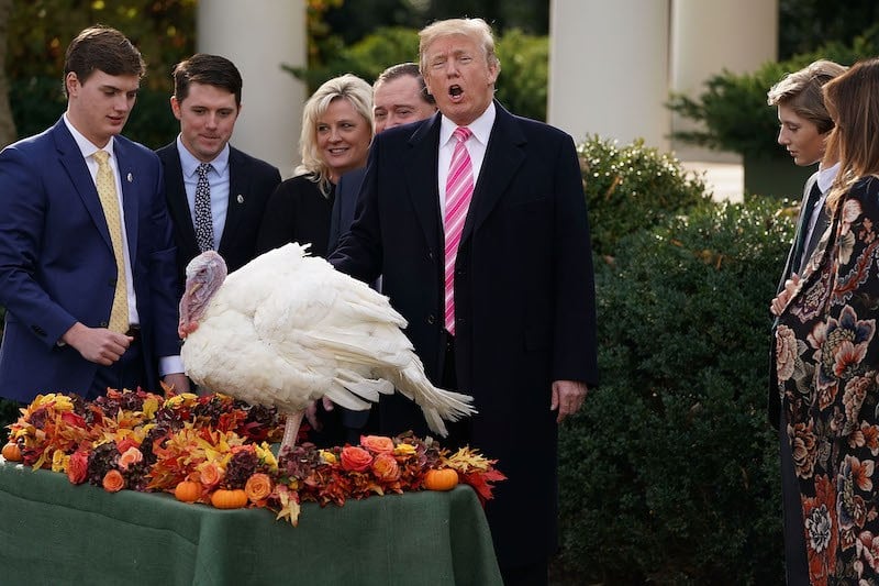 U.S. President Donald Trump pardons the National Thanksgiving turkey U.S. President Donald Trump pardons the National Thanksgiving turkey
