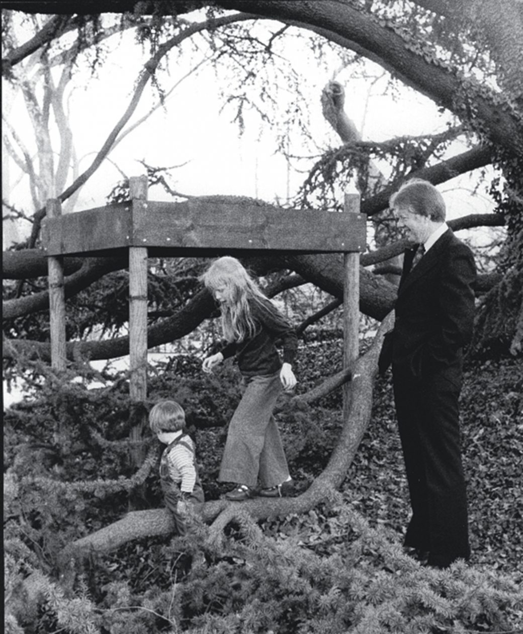 Jimmy Carter Tree house