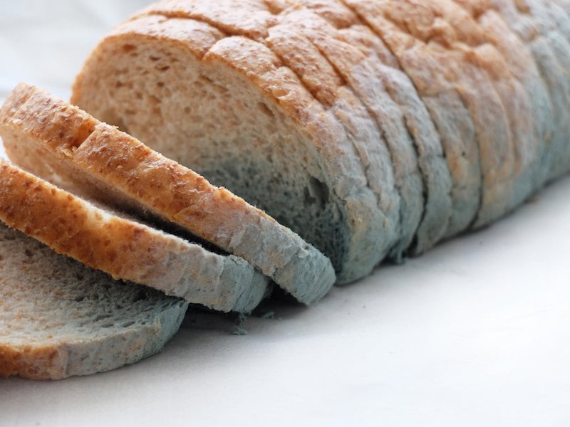 Slices of moldy bread.