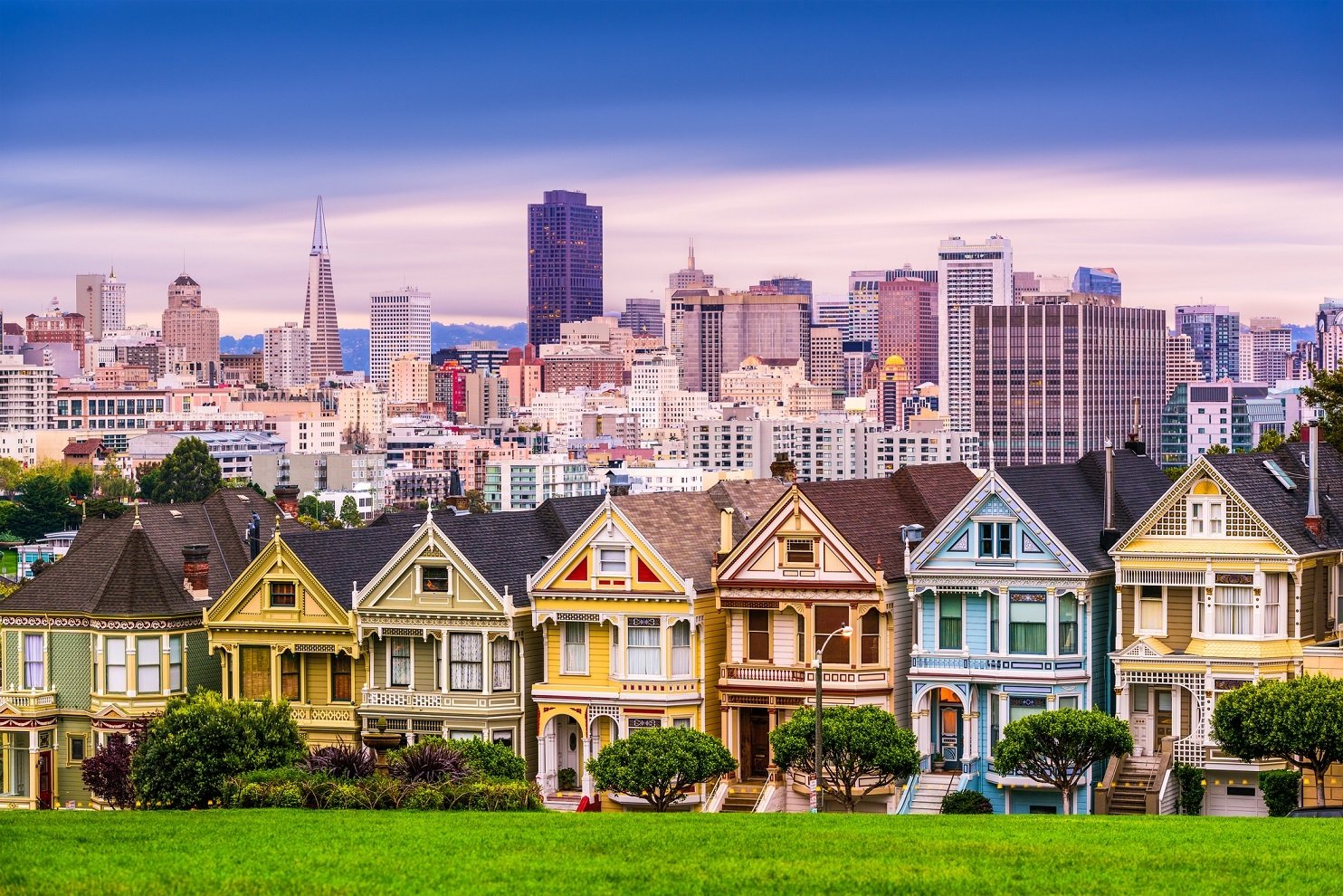 San Francisco Skyline with painted ladies
