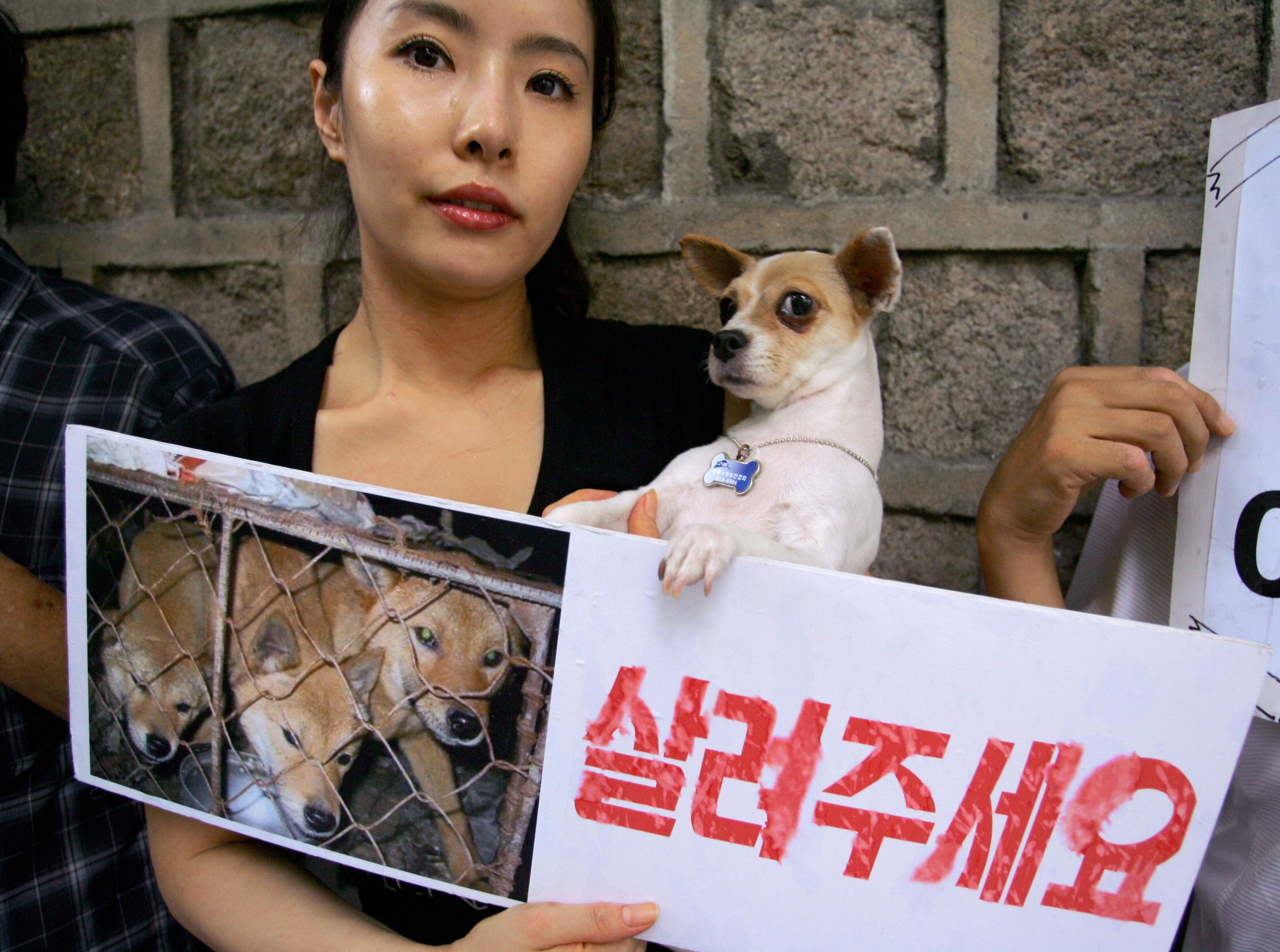 A South Korean animal protestor shows a