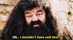 Shoultn't have said that gif