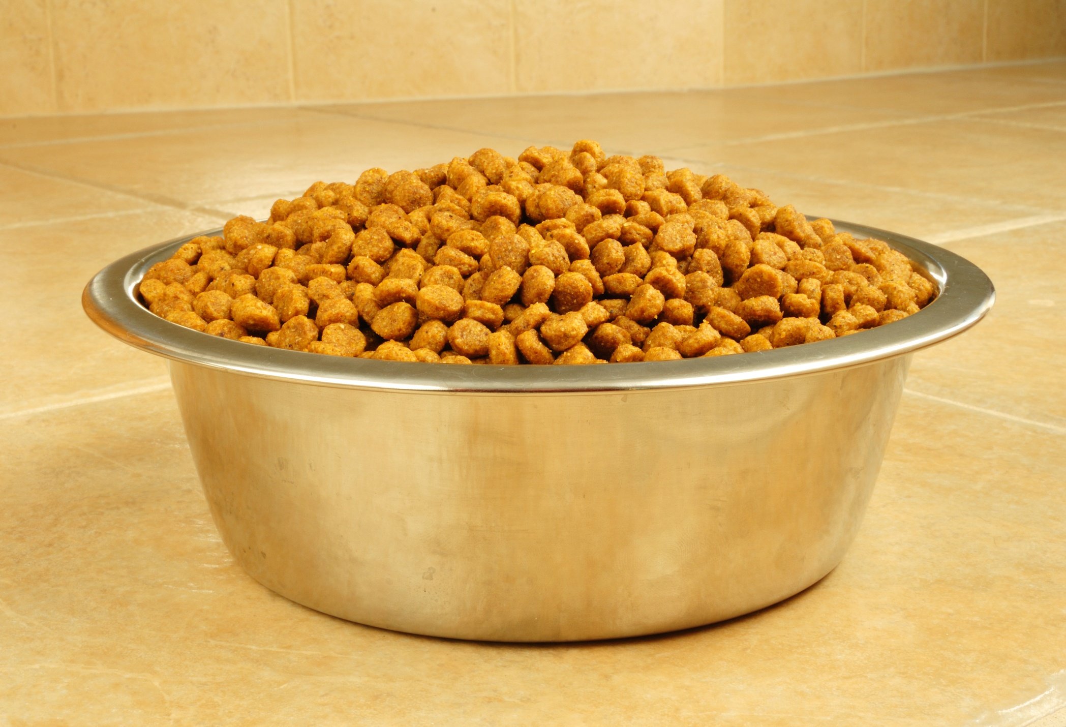 Dry Dog Food in a Stainless Steel Bowl on Ceramic Tile Floor