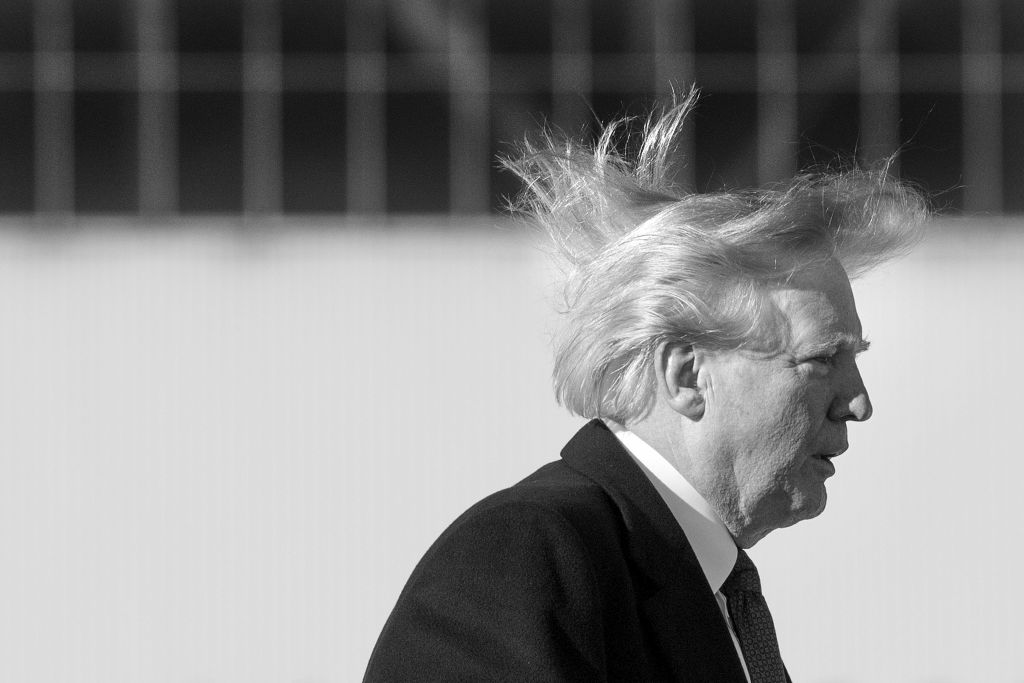 Donald Trump hair in the wind
