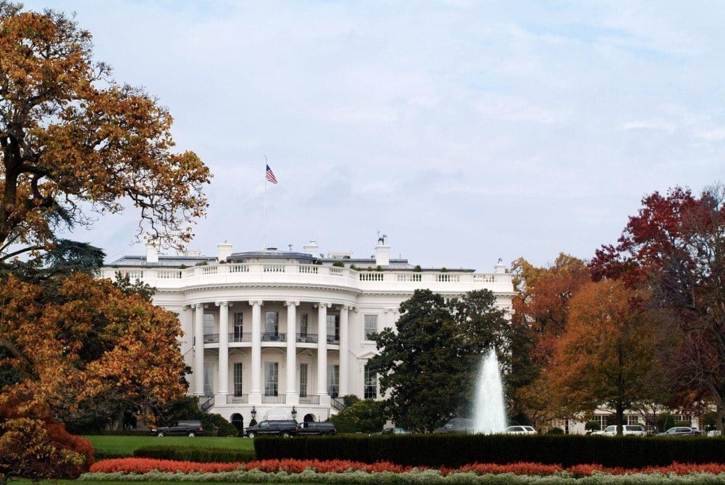 White House trees
