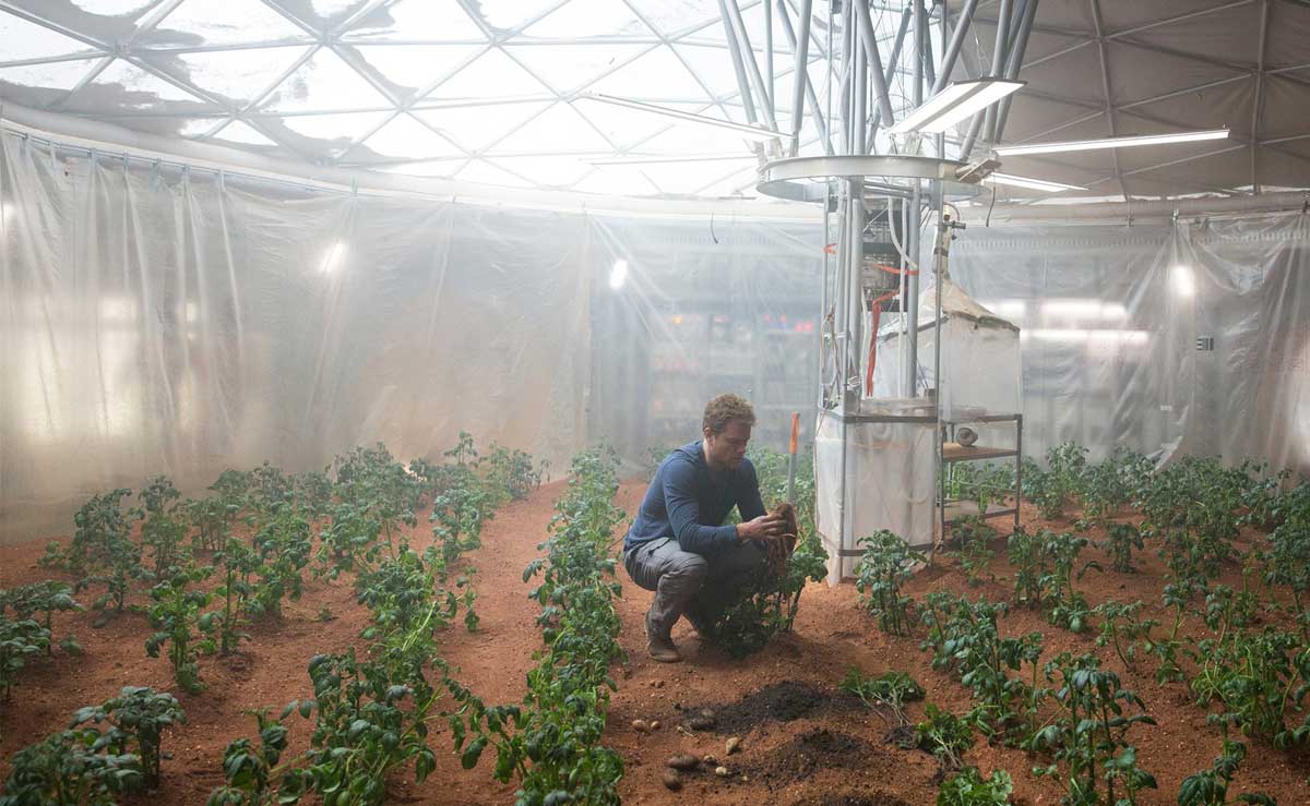 Matt Damon grows his poop potatoes in The Martian Matt Damon grows his poop potatoes in The Martian