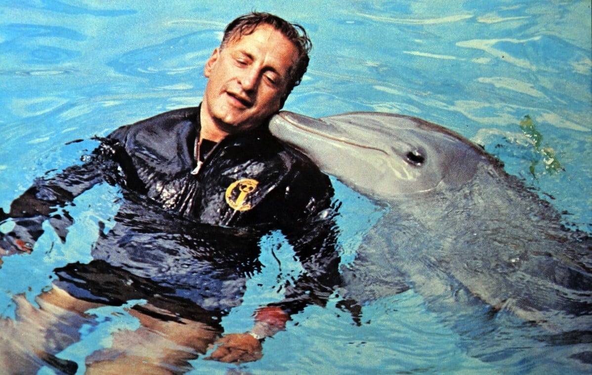 A man next to a dolphin in water A man next to a dolphin in water