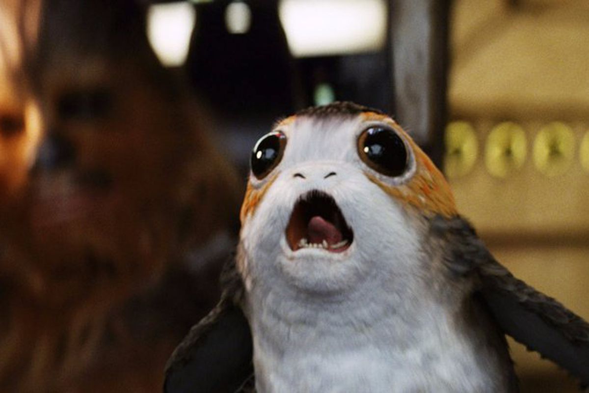 A porg in Star Wars: The Last Jedi