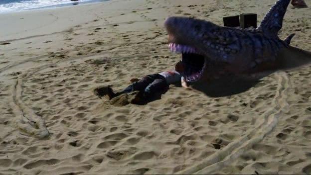 A shark on sand A shark on sand