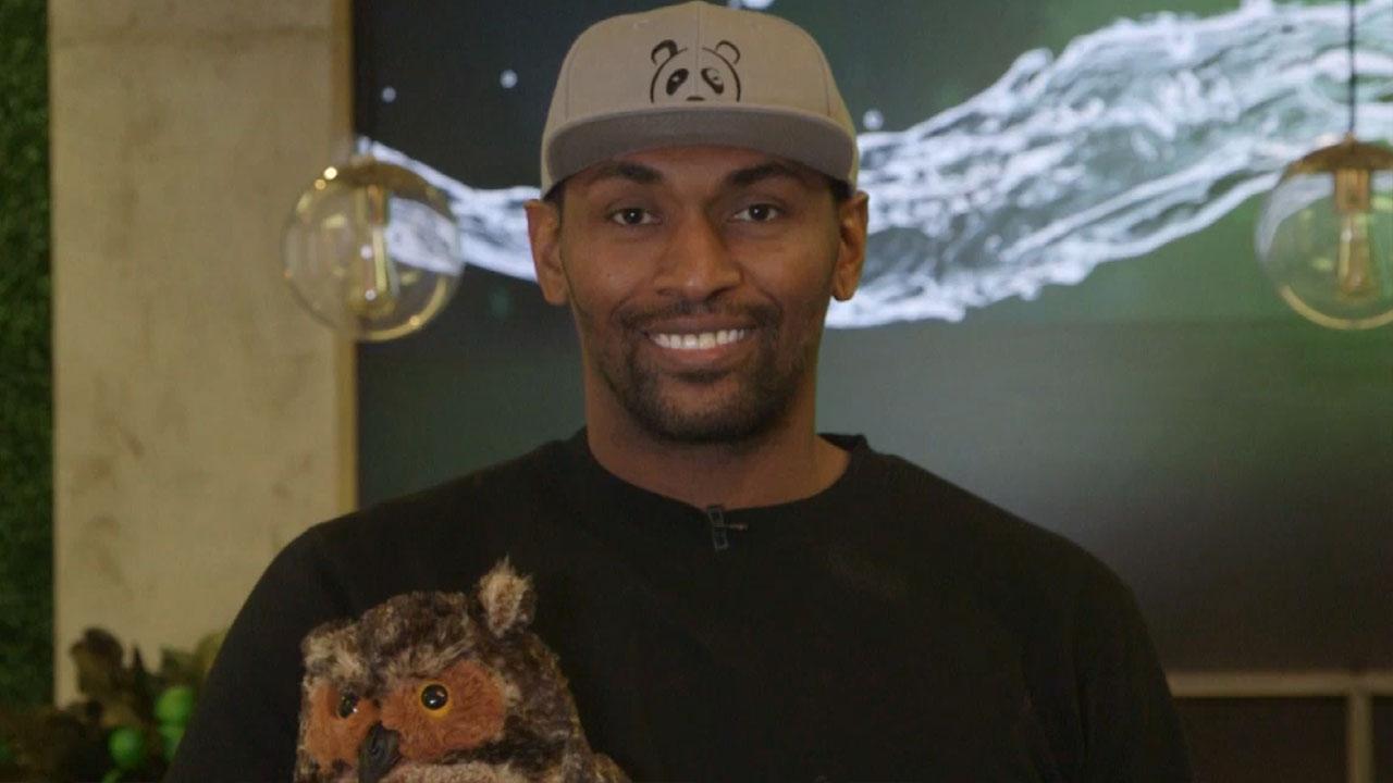 Metta World Peace Metta World Peace