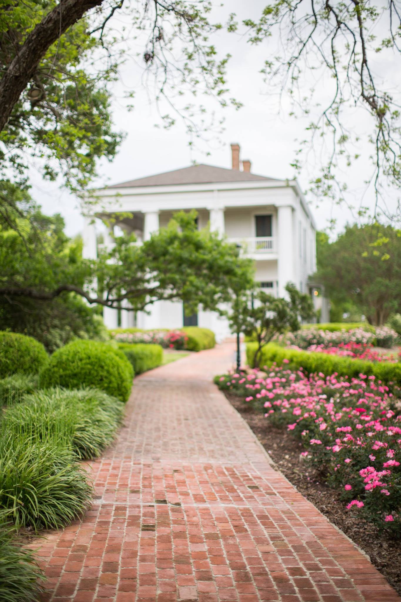Earle-Harrison House