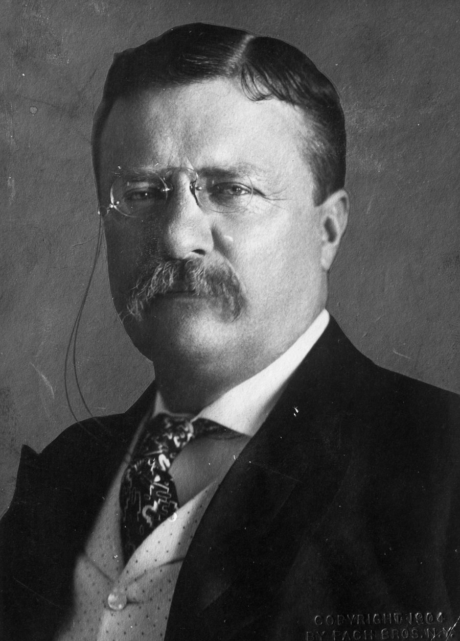 Theodore Roosevelt