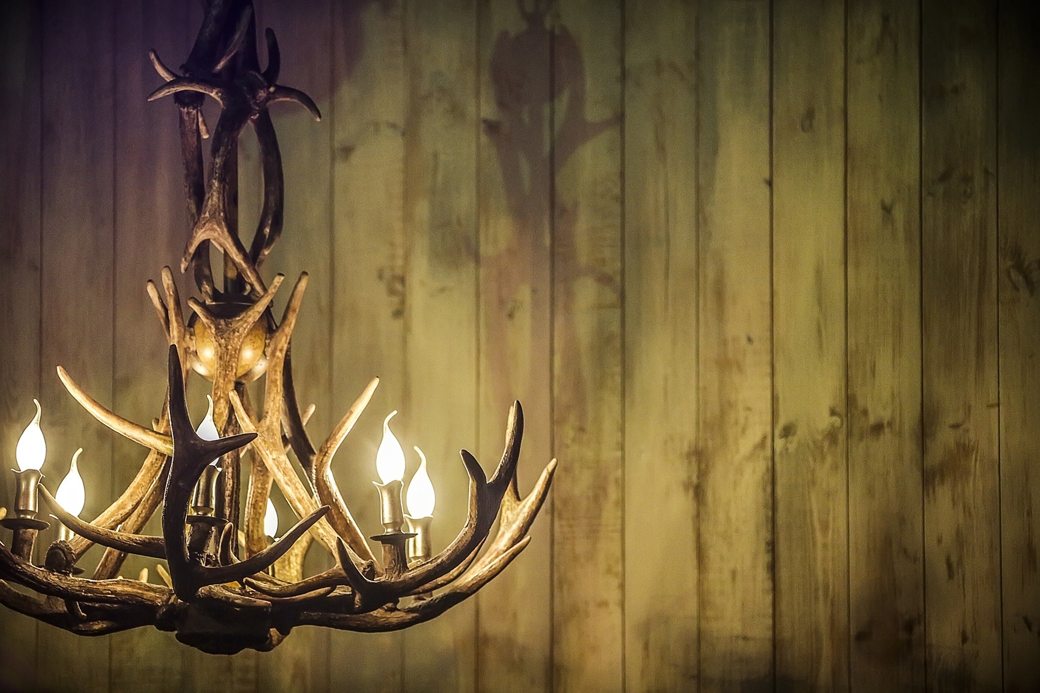 Moose antler chandelier