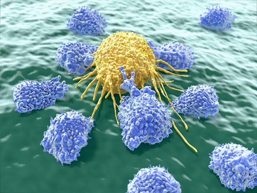 Immune system