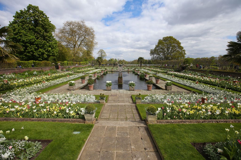 Blossoms are seen in the White Garden, created to celebrate the life of Diana