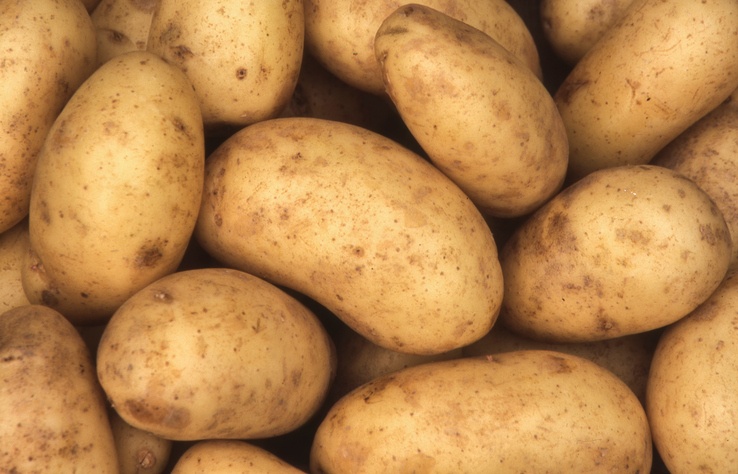 Charlotte potato