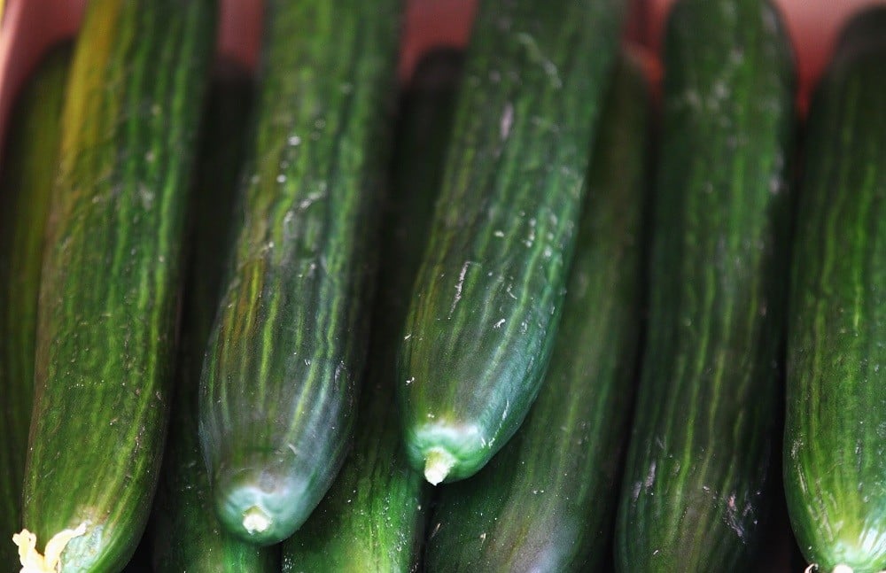 Cucumbers lie on a table