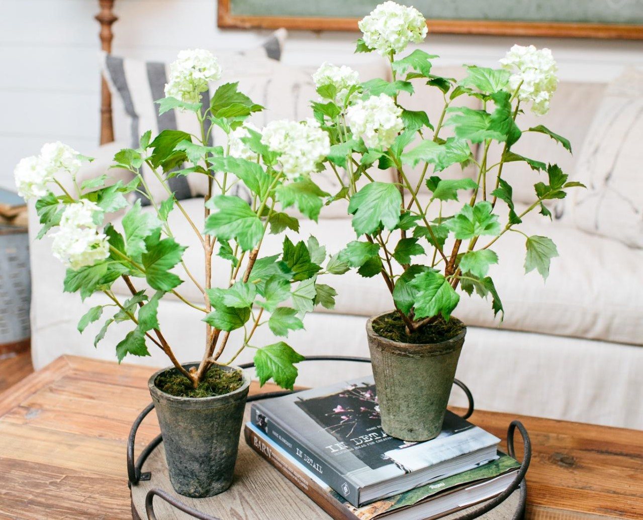 Flowers fixer upper