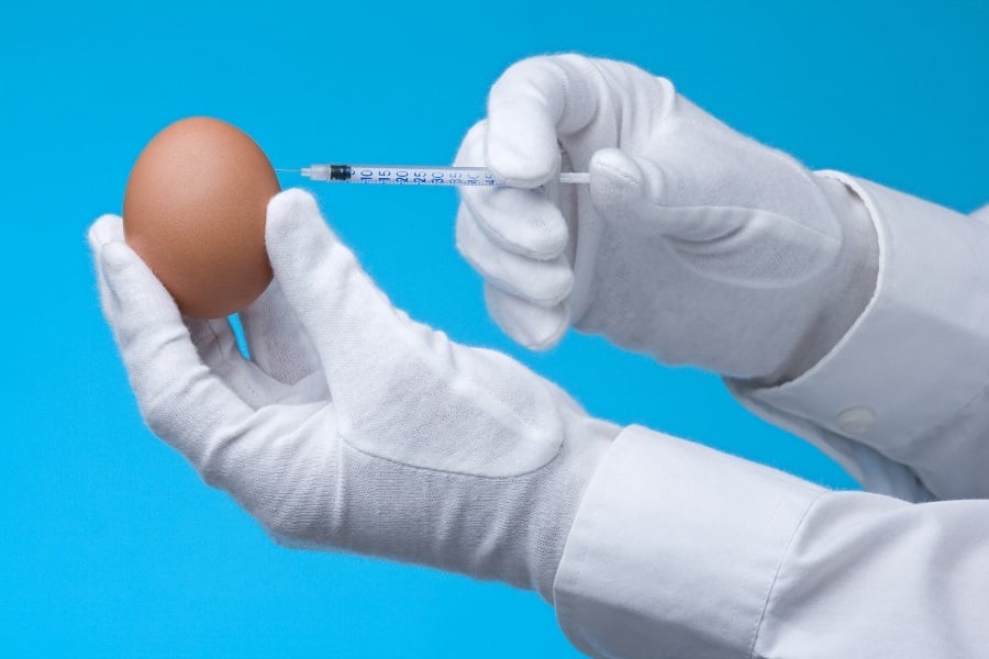 Genetic modification experiment with hen egg Genetic modification experiment with hen egg