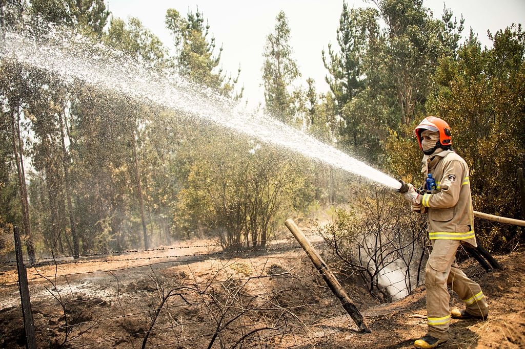 a firefighter sprays dry, brown woods with a fire hose a firefighter sprays dry, brown woods with a fire hose