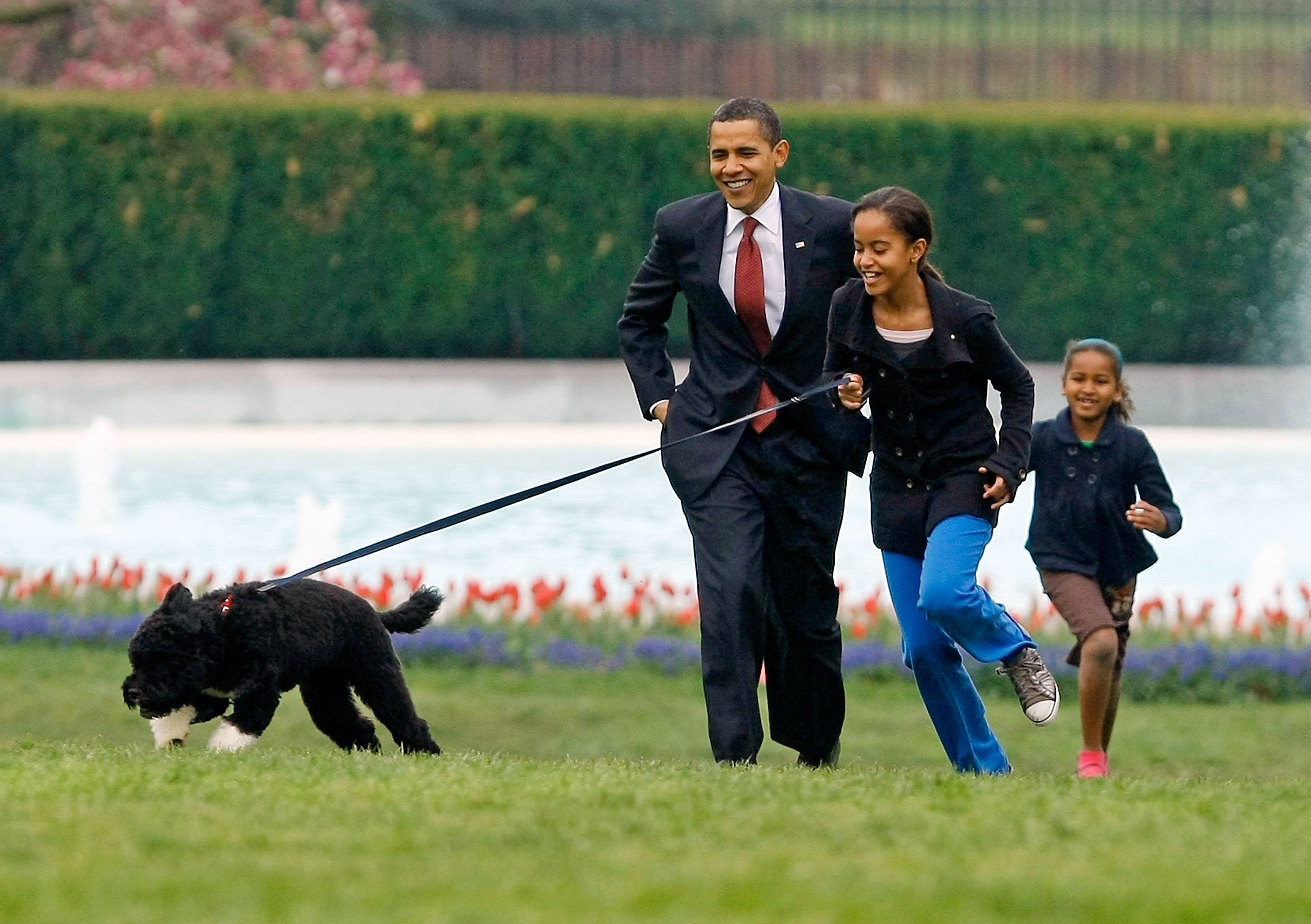 introduce their new dog, a Portuguese water dog named Bo.