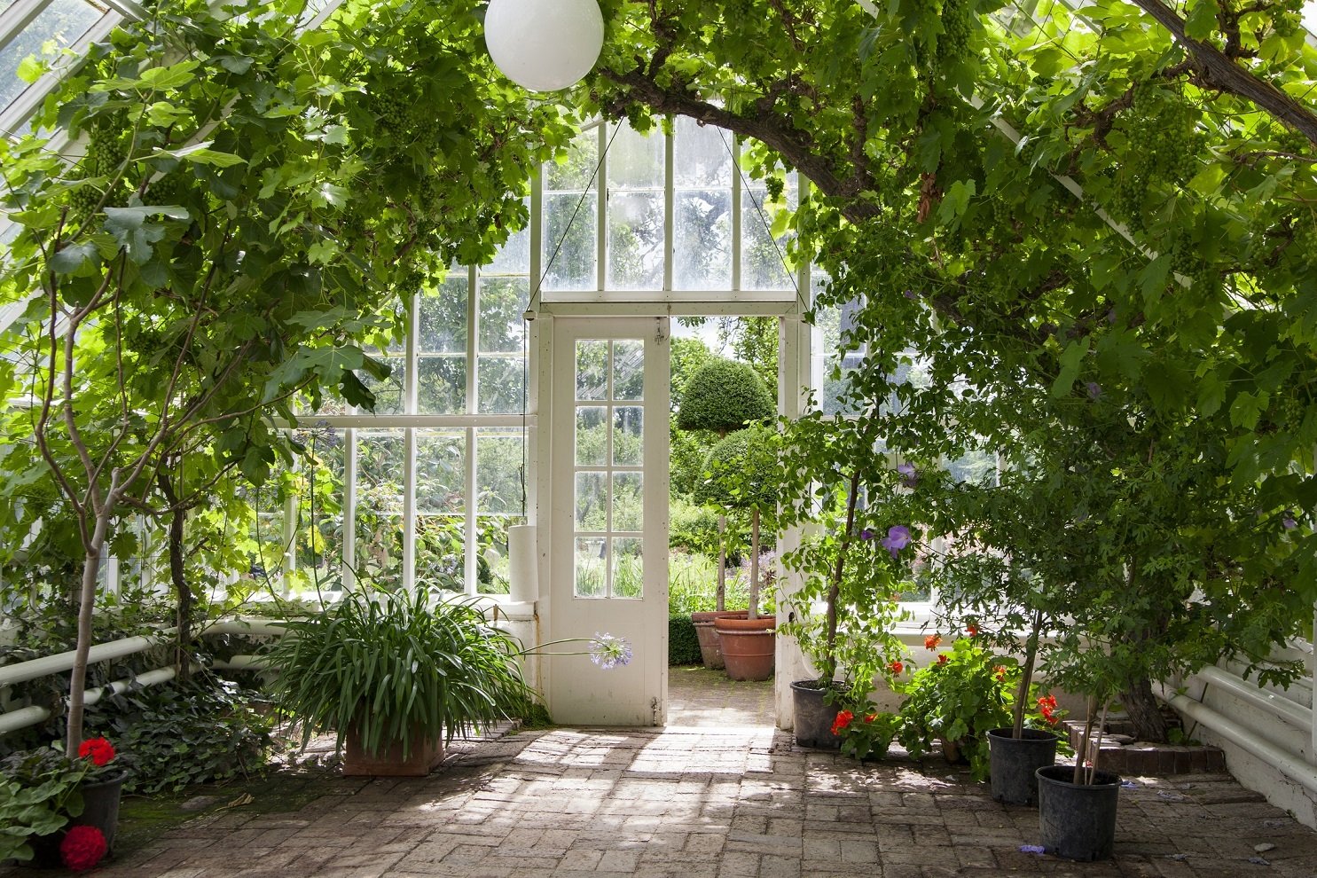 A green house full of flowers, plants and trees.