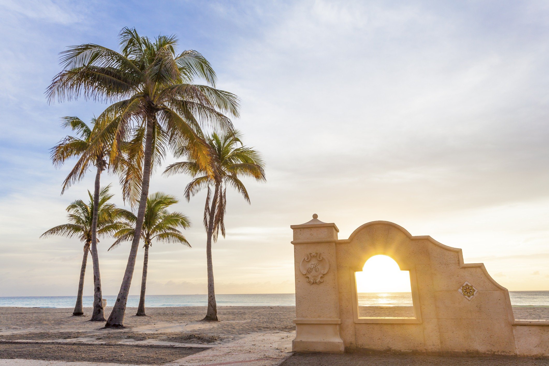 Palm trees at sunrise in Hollywood, Florida