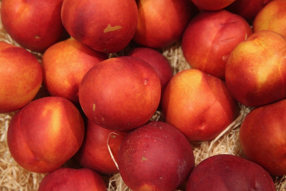 Organic nectarines lie on display