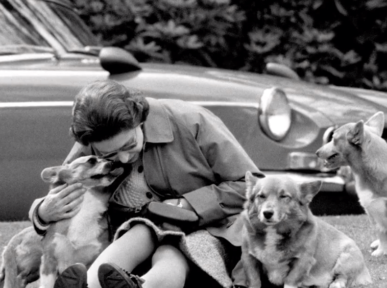 Queen Elizabeth and her corgis