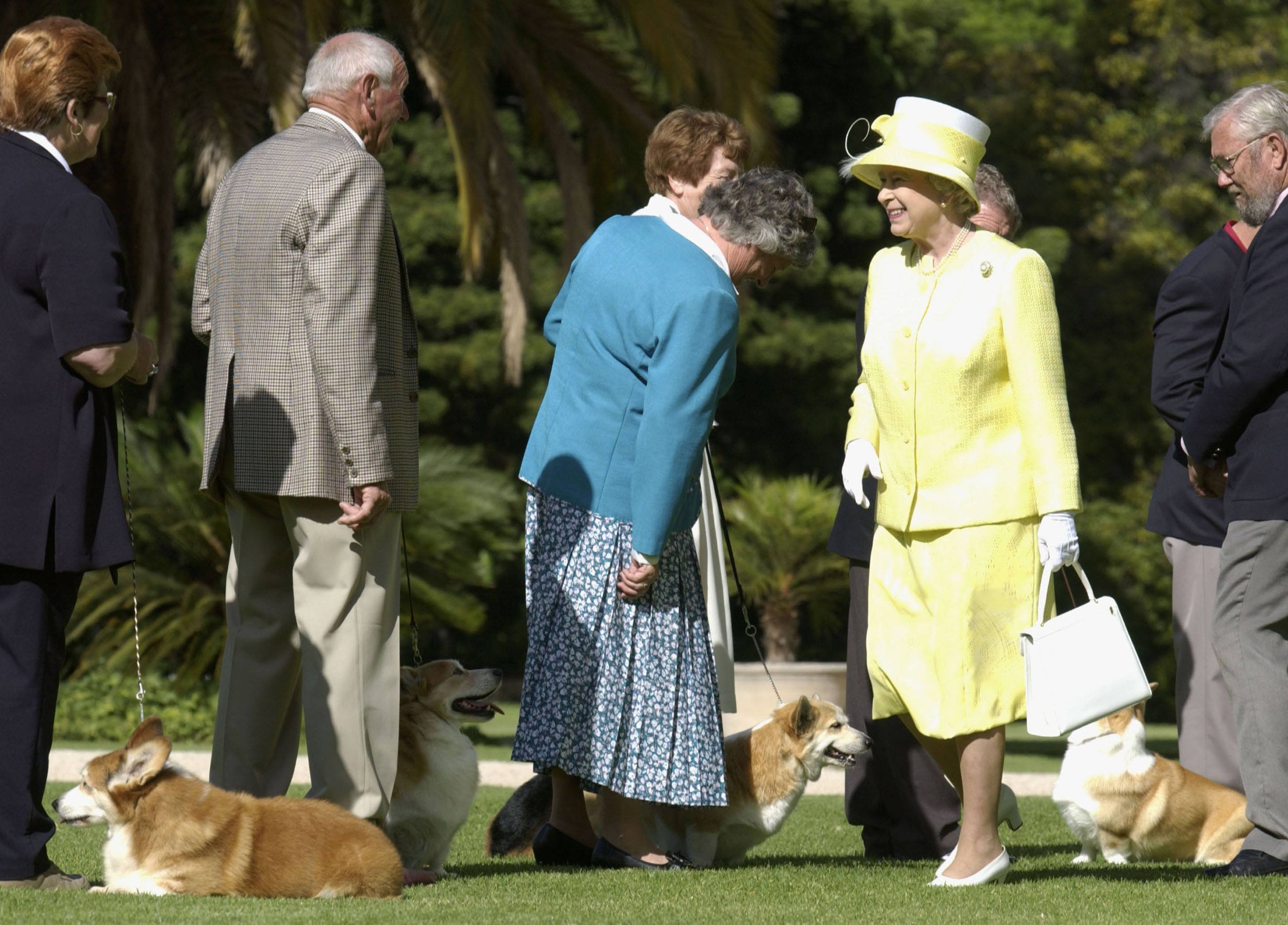 Queen Elizabeth in Australia with corgis