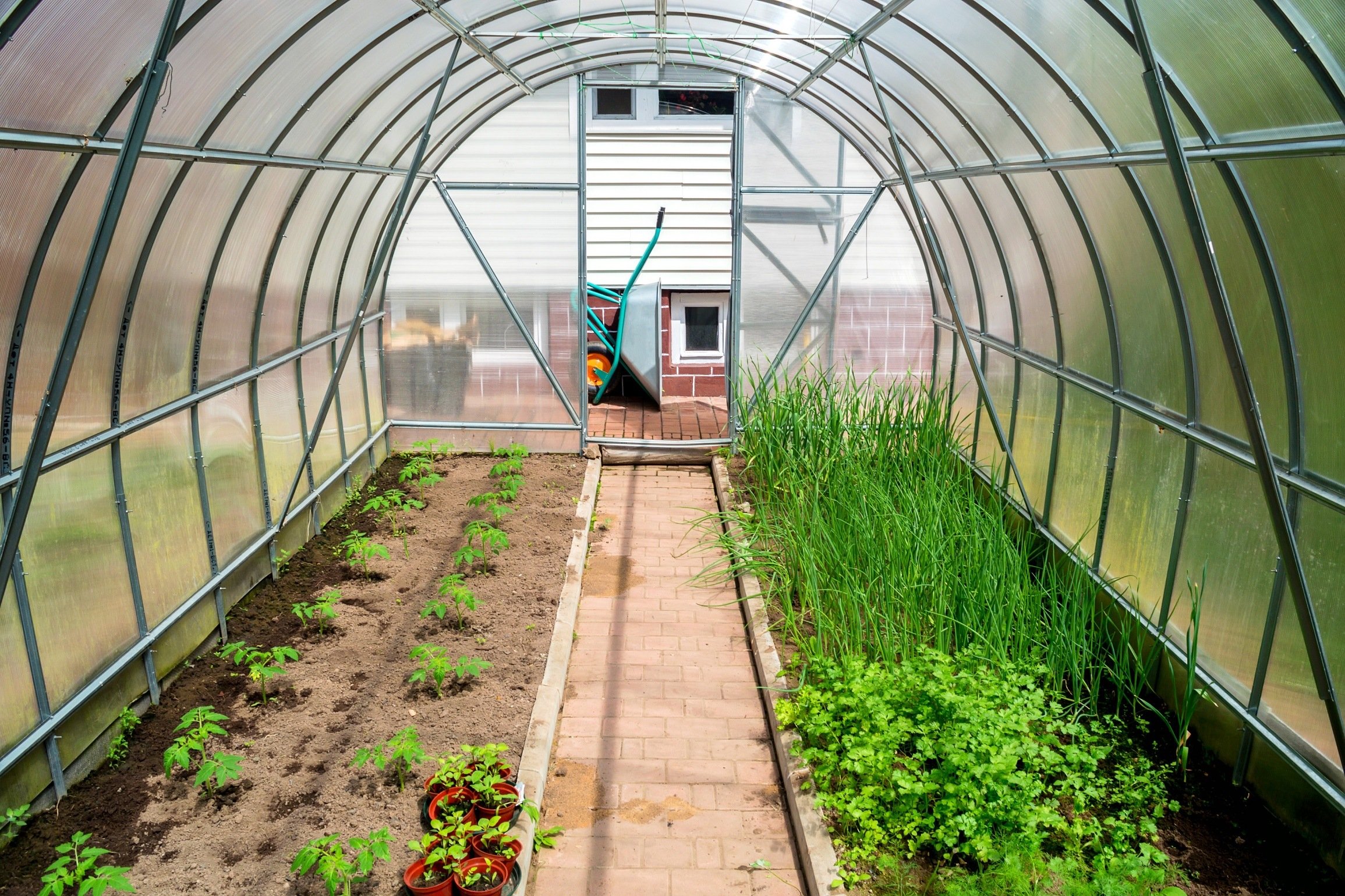 Inside small garden greenhouse