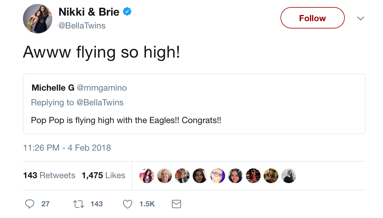 A screenshot from Nikki and brie Bella's twitter