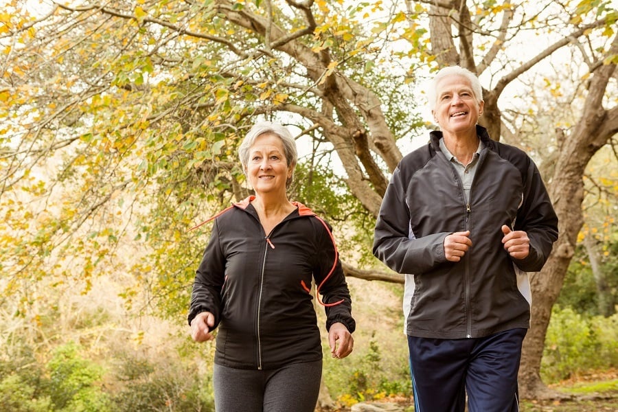 Senior couple in the park