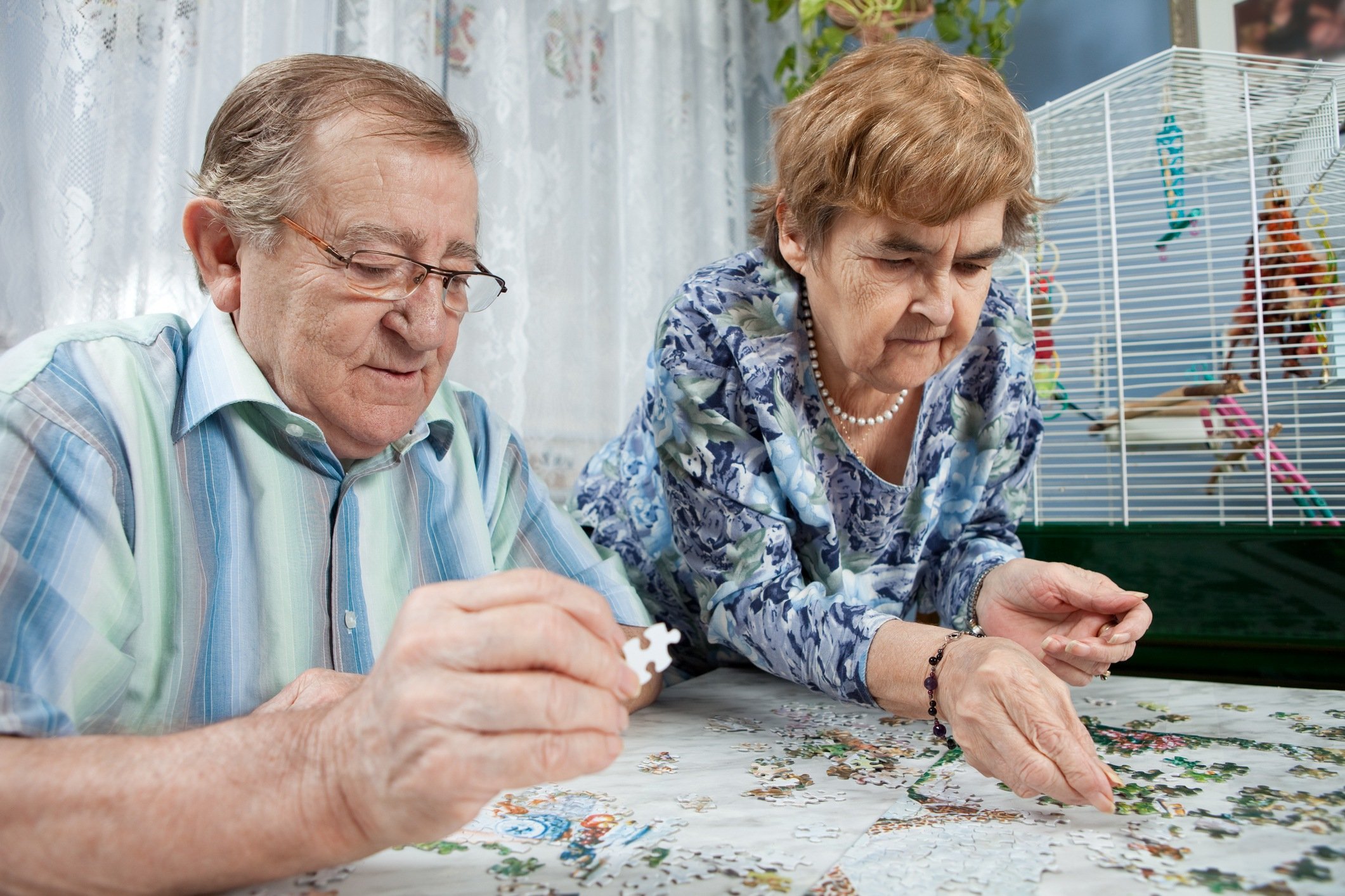 Seniors playing puzzle