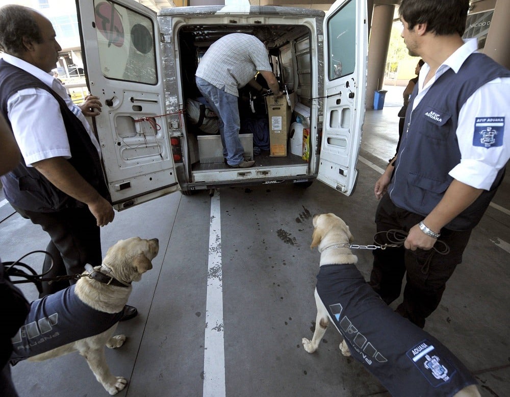 Sniffer dogs of the Argentine customs trained to search for hidden drugs and US dollars