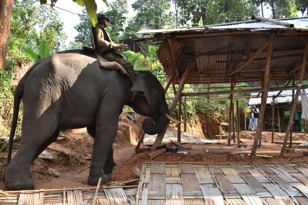 elephant to demolish illegal constructions