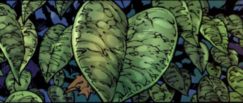 The Heart-Shaped Herb in Black Panther The Heart-Shaped Herb in Black Panther