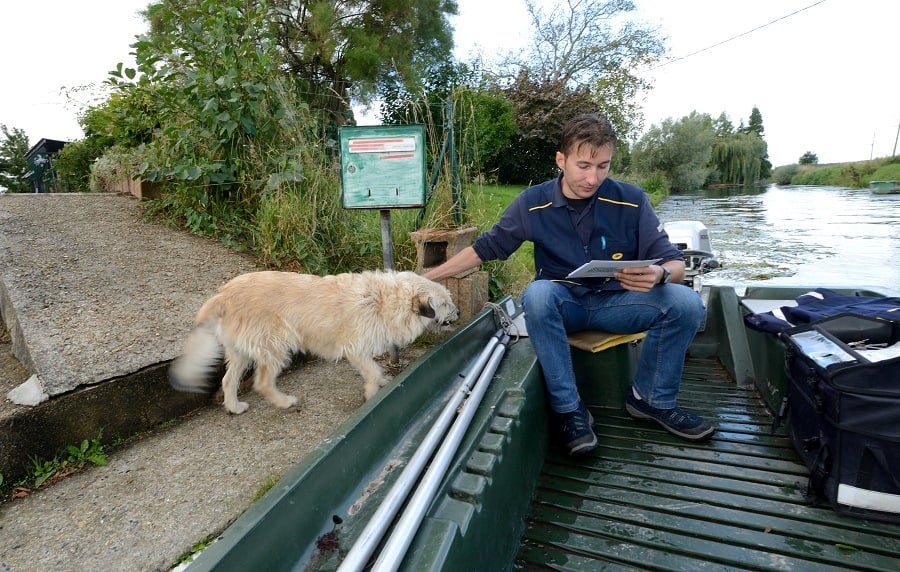 French postman Nicolas Hudelle caresses a dog from his small boat during a mail delivery
