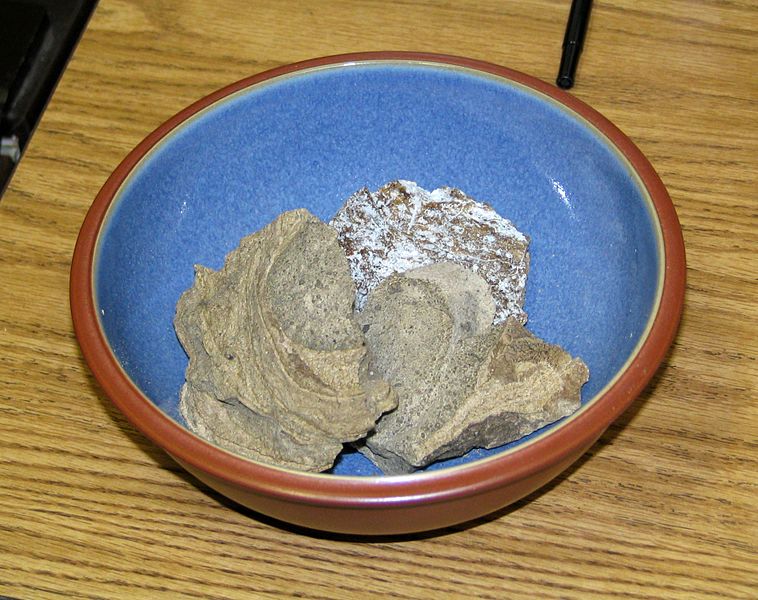 Ambergeris (whale vomit)