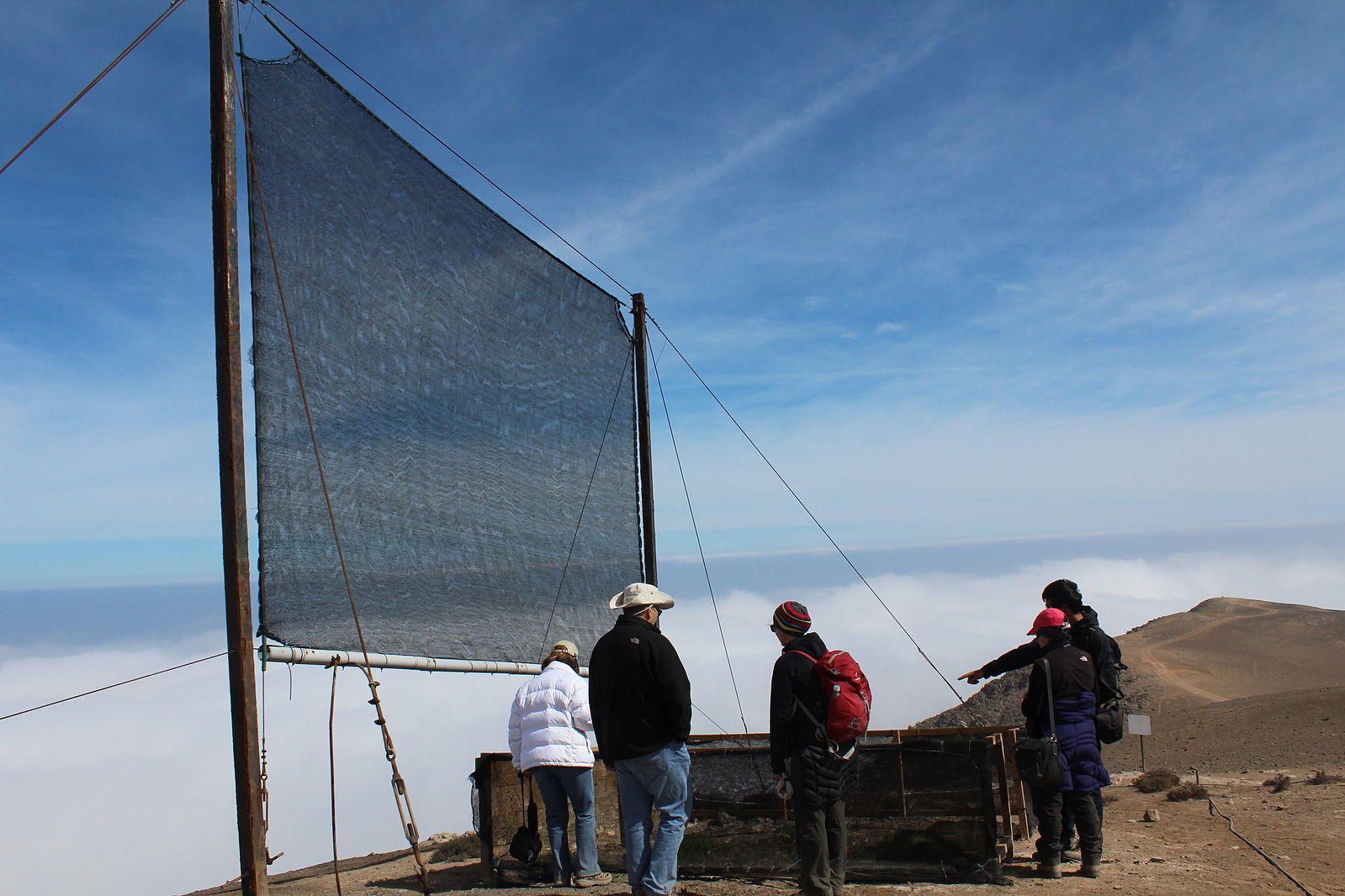 Harvesting cloud water