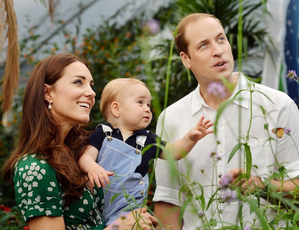 Britain's Prince George's first birthday, shows Prince William and Catherine, Duchess of Cambridge with Prince George during a visit to the Sensational Butterflies exhibition