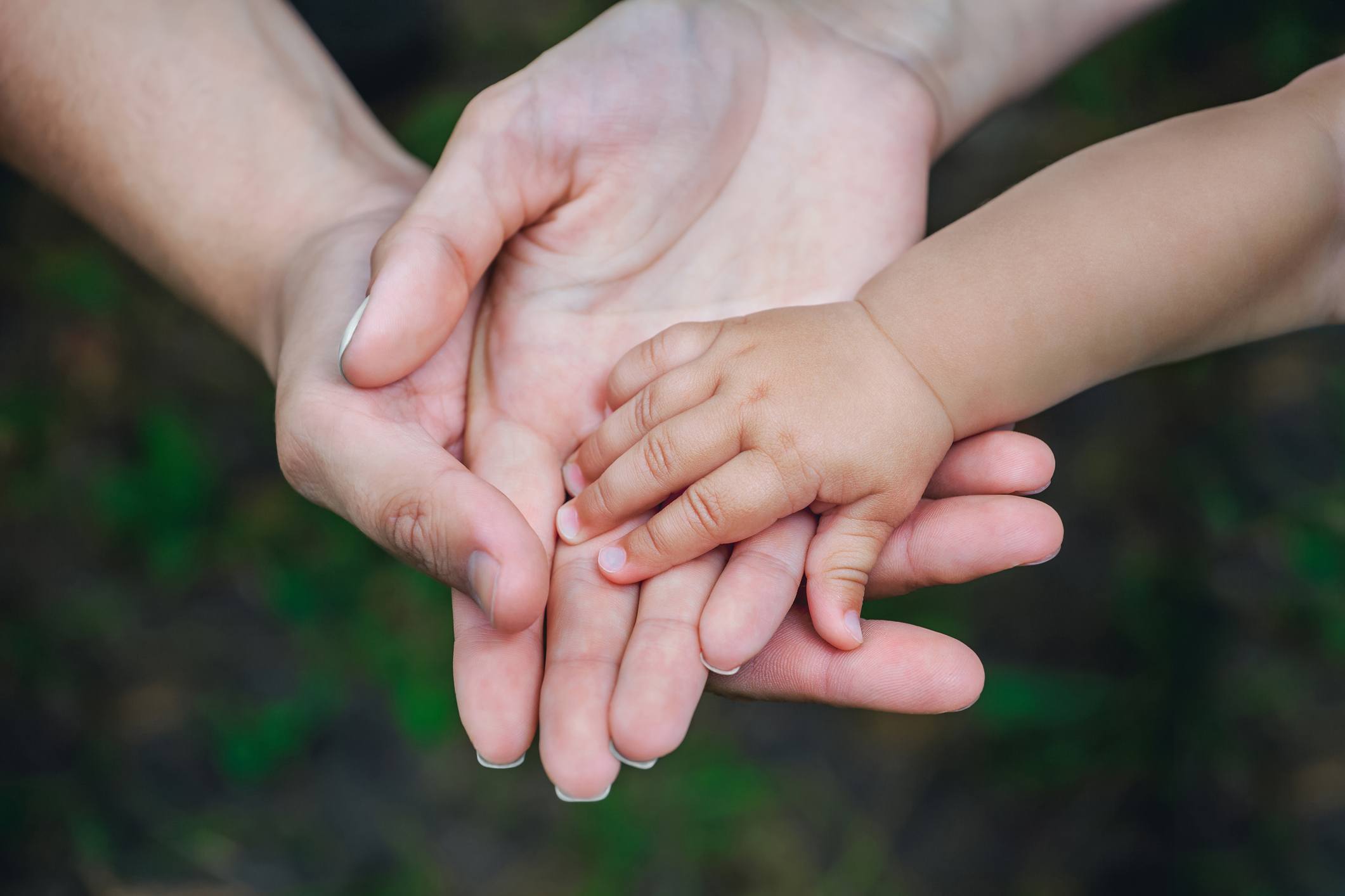 Three hands of the same family - father, mother and baby