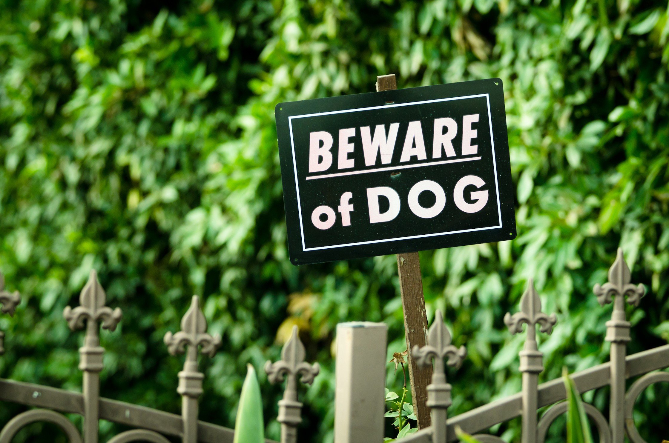 Black beware of dog sign over fence with green background