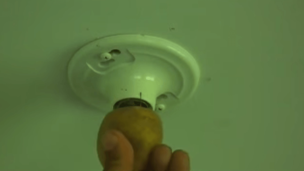 Broken lightbulb potato