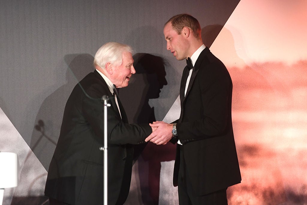 Prince William and David Attenborough